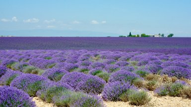 Valensole recadrer en16/9 + accentuation