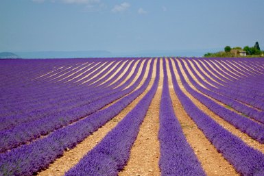 Valensole cadrer plus large à droite si possible