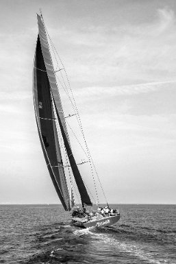 Voiles de St Tropez