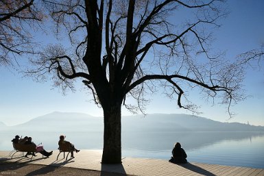 Hiver zen au bord du lac