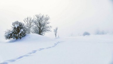 Dans la brume attention aux formats : 16/9 - balance des blancs