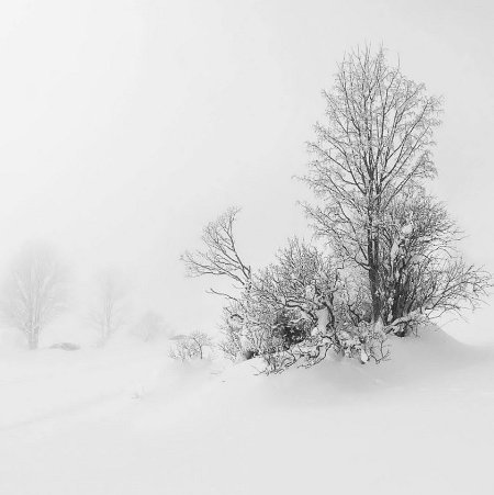 neige balance des blancs à ajuster