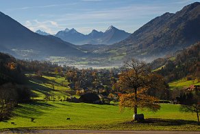 Dingy St Clair - automne